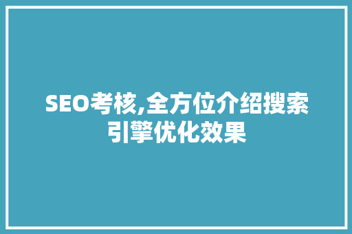 SEO考核,全方位介绍搜索引擎优化效果