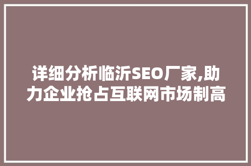 详细分析临沂SEO厂家,助力企业抢占互联网市场制高点