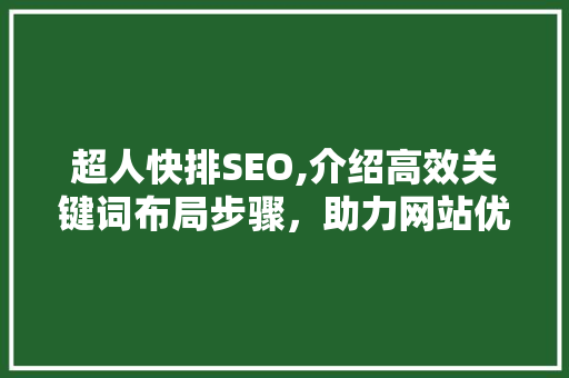 超人快排SEO,介绍高效关键词布局步骤，助力网站优化