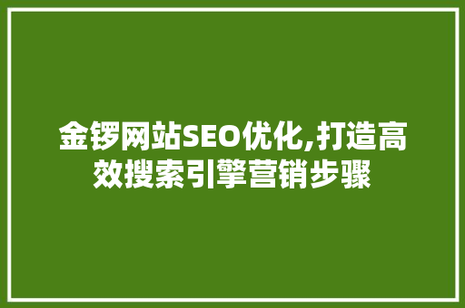 金锣网站SEO优化,打造高效搜索引擎营销步骤
