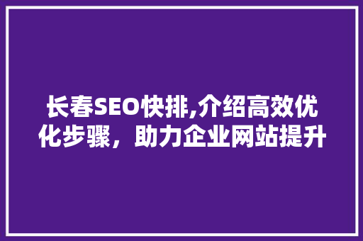 长春SEO快排,介绍高效优化步骤，助力企业网站提升排名