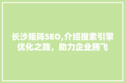 长沙矩阵SEO,介绍搜索引擎优化之路，助力企业腾飞