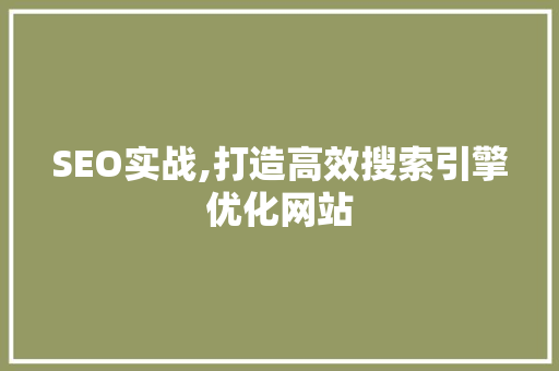 SEO实战,打造高效搜索引擎优化网站