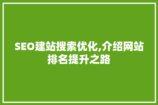 SEO建站搜索优化,介绍网站排名提升之路