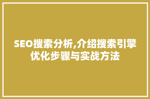 SEO搜索分析,介绍搜索引擎优化步骤与实战方法