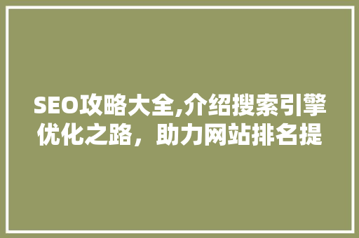 SEO攻略大全,介绍搜索引擎优化之路，助力网站排名提升