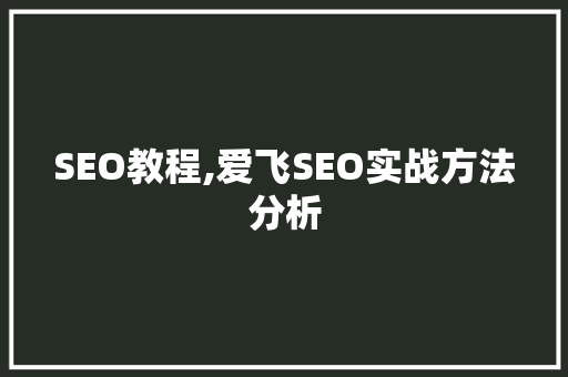 SEO教程,爱飞SEO实战方法分析