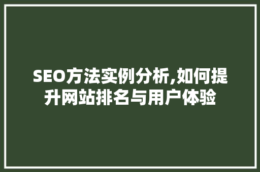 SEO方法实例分析,如何提升网站排名与用户体验