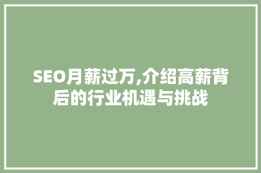 SEO月薪过万,介绍高薪背后的行业机遇与挑战