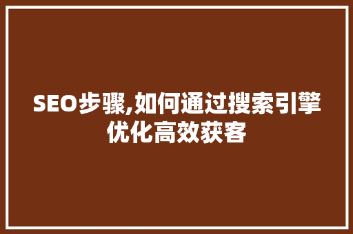 SEO步骤,如何通过搜索引擎优化高效获客