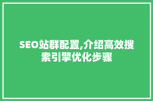 SEO站群配置,介绍高效搜索引擎优化步骤