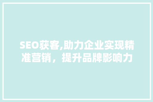SEO获客,助力企业实现精准营销，提升品牌影响力