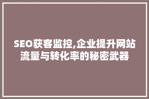SEO获客监控,企业提升网站流量与转化率的秘密武器