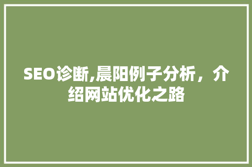 SEO诊断,晨阳例子分析，介绍网站优化之路 服务器/数据库