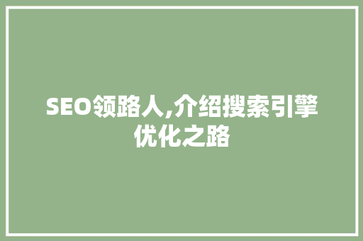 SEO领路人,介绍搜索引擎优化之路