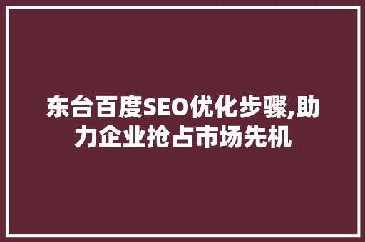 东台百度SEO优化步骤,助力企业抢占市场先机 WordPress教程
