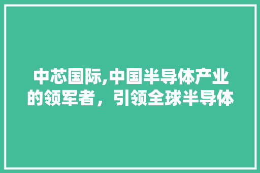 中芯国际,中国半导体产业的领军者，引领全球半导体发展新潮流