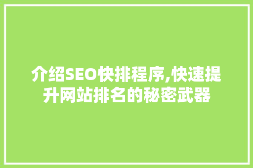 介绍SEO快排程序,快速提升网站排名的秘密武器