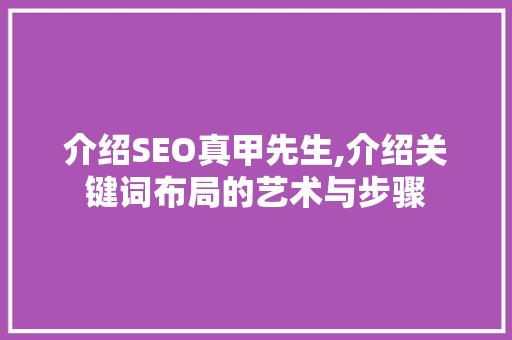 介绍SEO真甲先生,介绍关键词布局的艺术与步骤
