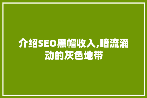 介绍SEO黑帽收入,暗流涌动的灰色地带