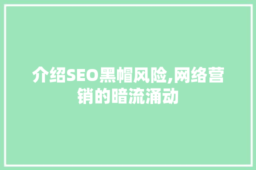 介绍SEO黑帽风险,网络营销的暗流涌动