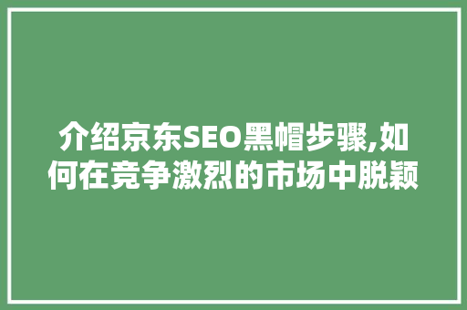 介绍京东SEO黑帽步骤,如何在竞争激烈的市场中脱颖而出