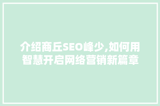 介绍商丘SEO峰少,如何用智慧开启网络营销新篇章