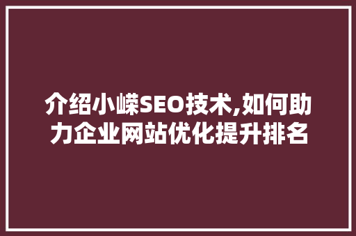 介绍小嵘SEO技术,如何助力企业网站优化提升排名