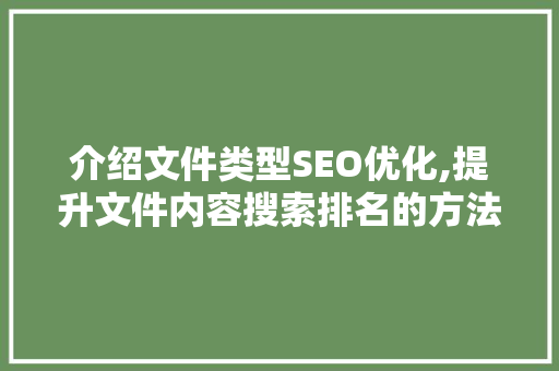 介绍文件类型SEO优化,提升文件内容搜索排名的方法