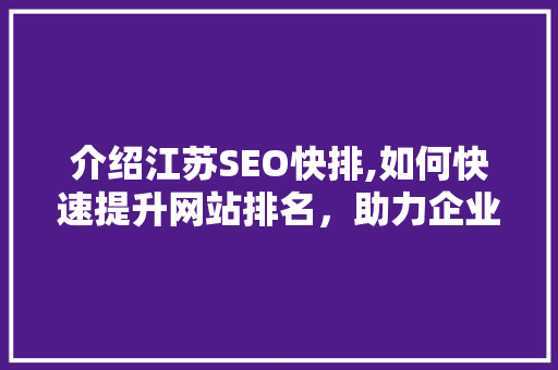 介绍江苏SEO快排,如何快速提升网站排名，助力企业腾飞