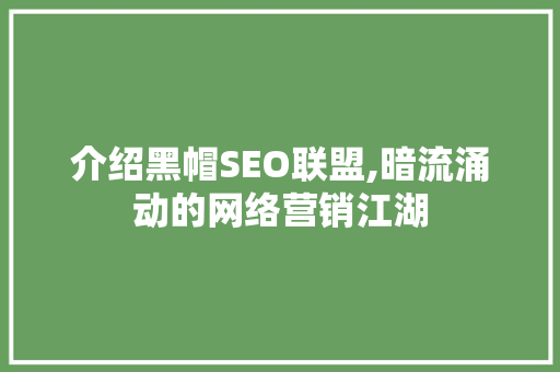 介绍黑帽SEO联盟,暗流涌动的网络营销江湖