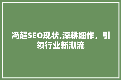 冯超SEO现状,深耕细作，引领行业新潮流