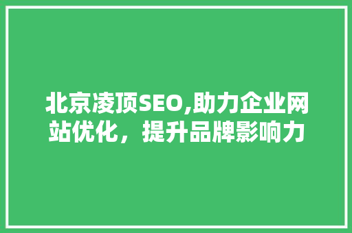北京凌顶SEO,助力企业网站优化，提升品牌影响力