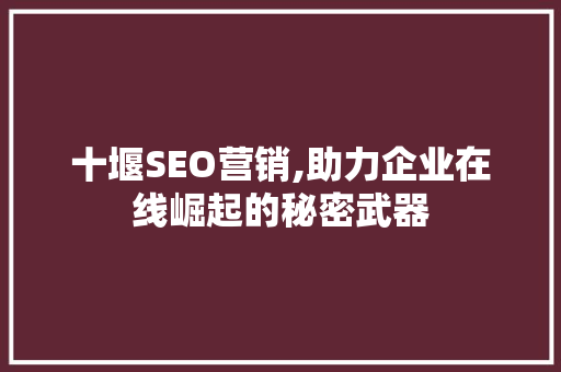 十堰SEO营销,助力企业在线崛起的秘密武器