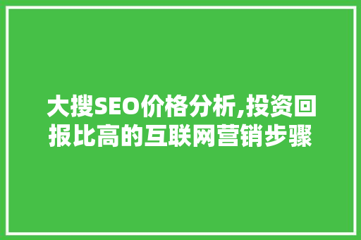 大搜SEO价格分析,投资回报比高的互联网营销步骤