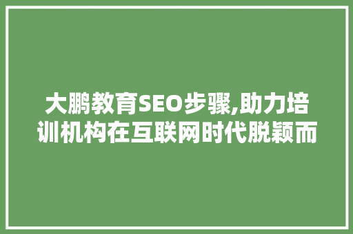 大鹏教育SEO步骤,助力培训机构在互联网时代脱颖而出