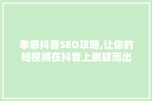 孝感抖音SEO攻略,让你的短视频在抖音上脱颖而出