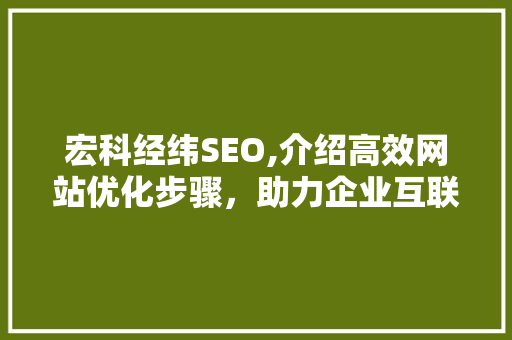 宏科经纬SEO,介绍高效网站优化步骤，助力企业互联网发展