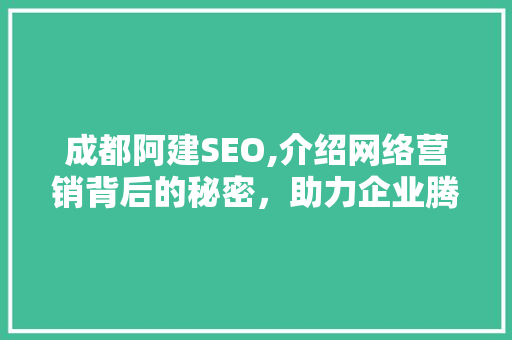成都阿建SEO,介绍网络营销背后的秘密，助力企业腾飞