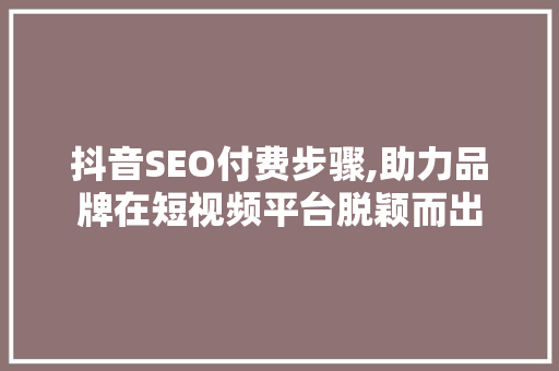 抖音SEO付费步骤,助力品牌在短视频平台脱颖而出