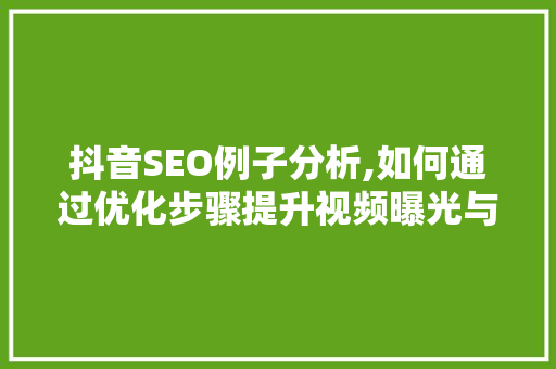抖音SEO例子分析,如何通过优化步骤提升视频曝光与流量