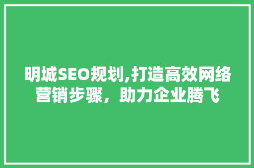 明城SEO规划,打造高效网络营销步骤，助力企业腾飞