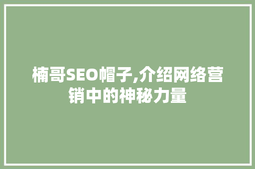 楠哥SEO帽子,介绍网络营销中的神秘力量