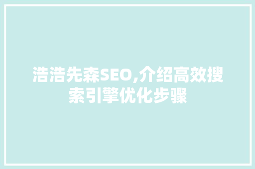 浩浩先森SEO,介绍高效搜索引擎优化步骤