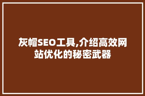 灰帽SEO工具,介绍高效网站优化的秘密武器