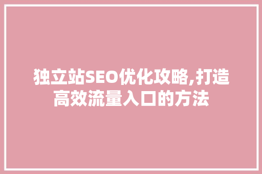 独立站SEO优化攻略,打造高效流量入口的方法