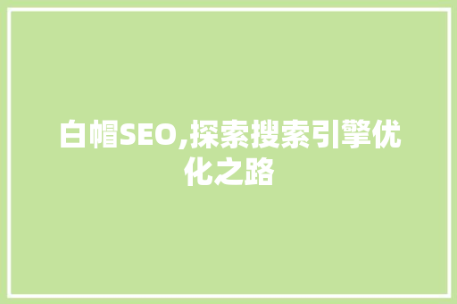 白帽SEO,探索搜索引擎优化之路