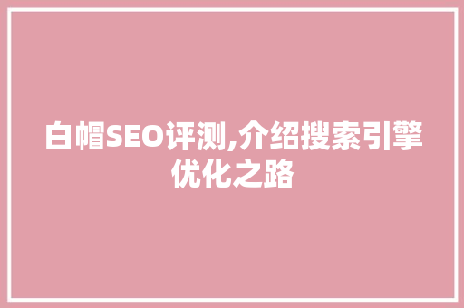 白帽SEO评测,介绍搜索引擎优化之路