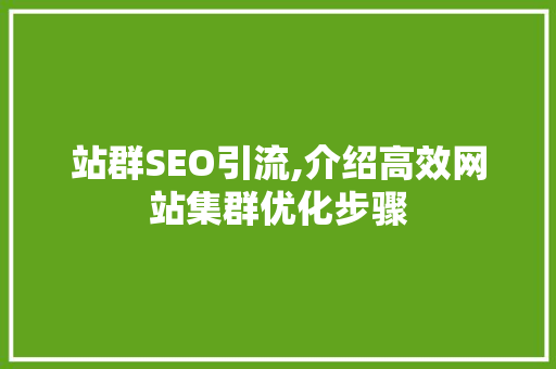 站群SEO引流,介绍高效网站集群优化步骤