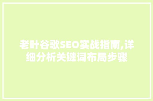 老叶谷歌SEO实战指南,详细分析关键词布局步骤